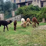 Bio Olivastrella * San Venanzo