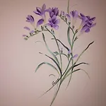 Bio Olivastrella San Venanzo