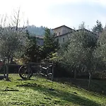 Bio Olivastrella Lantgård