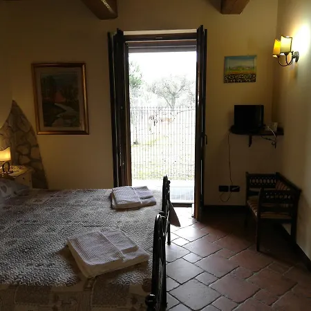 Bio Olivastrella *